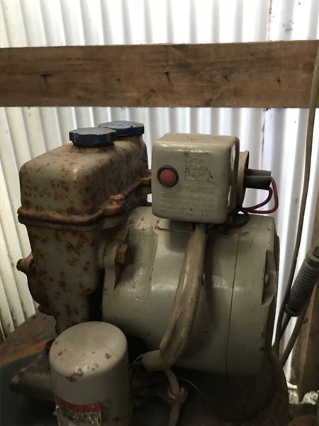 葛飾区東金町　【桜並木を見上げる古家】